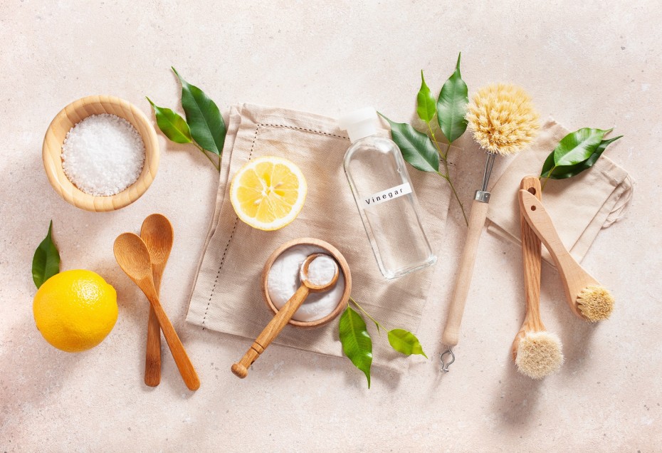 Cucina brillante, ambiente sano: 10 consigli ecologici per una pulizia sostenibile