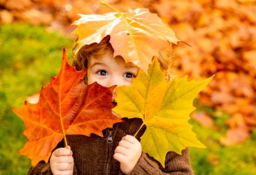 Lavoretti d'autunno per bambini con foglie, castagne e uva