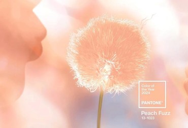 Il Colore Pantone dell'anno sarà il Peach Fuzz 13-1023