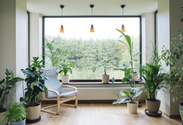 Abitare una casa biophilic: una tendenza estetica che diventa filosofia di vita