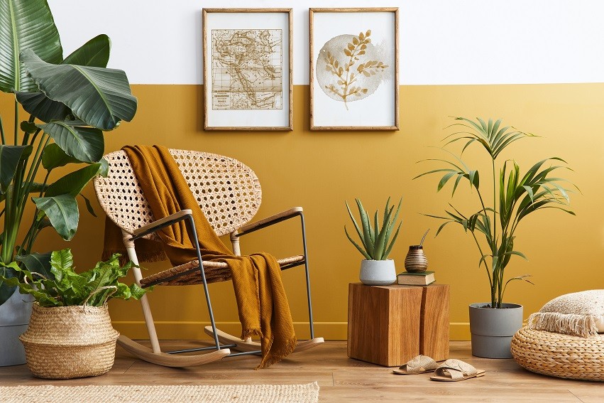 Uso del colore nello stile Jungle: parete giallo ocra su sfondo bianco con piante verdi e complementi d'arredo in legno o canapa